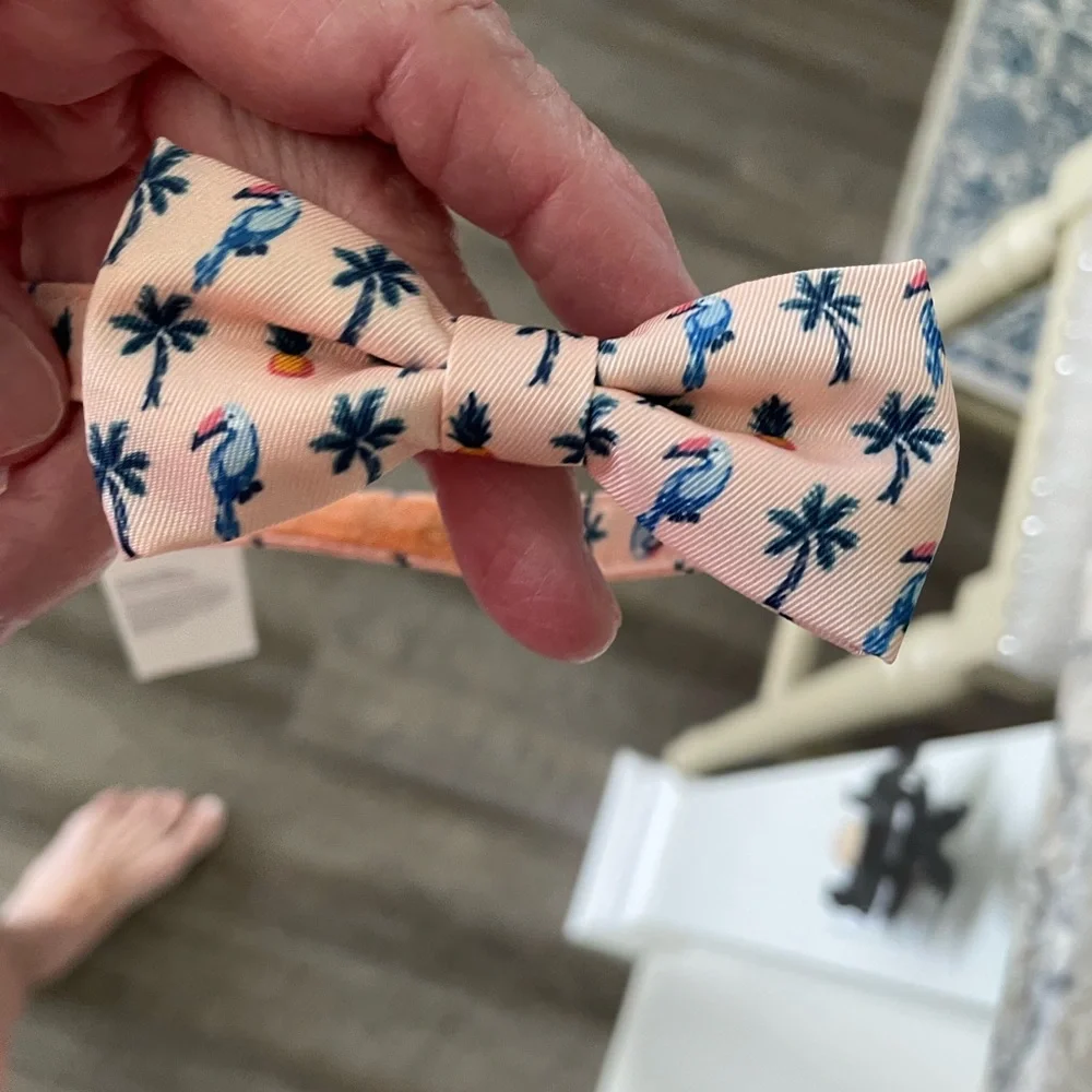 Janie and Jack Peach Tropical Kids Bow Tie